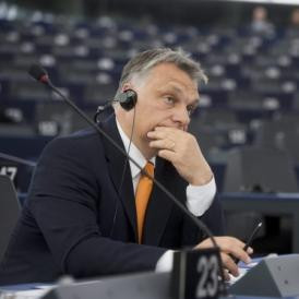 Az európai liberálisok, Orbán és a hetedik cikkely