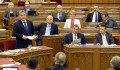 Ma mindenki megőrült egy kicsit