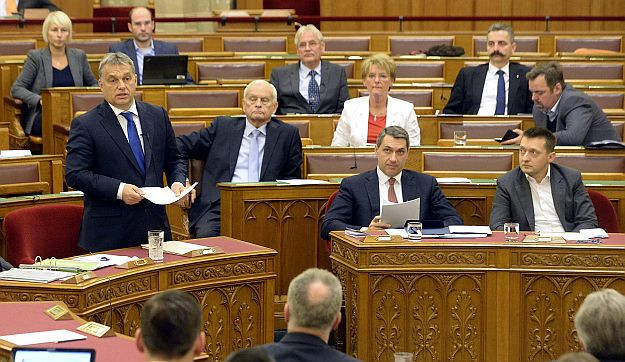 Ma mindenki megőrült egy kicsit