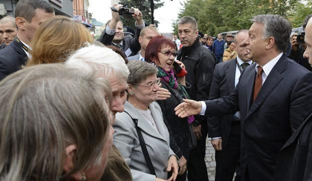 Mit tud a TEK? - Orbán vad csapata