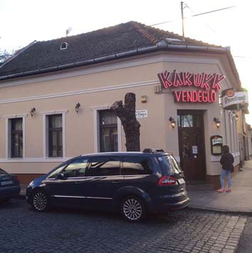 Kakukk