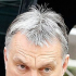 Szüret extra: a Blikket sokkolta, ami Orbán hajával történt