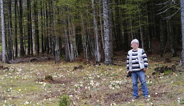 „A fűnyírás népbetegség”  