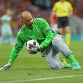 Költözzön be Király Gábor mackójába vagy egyenesen a temetőbe!