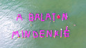 Gumimatracokkal üzent a Balatonról a Párbeszéd