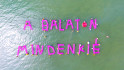 Gumimatracokkal üzent a Balatonról a Párbeszéd