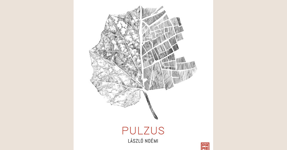 László Noémi: Pulzus