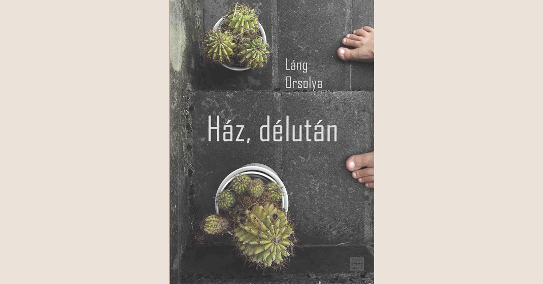 Láng Orsolya: Ház, délután
