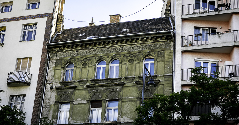 Terepszemle