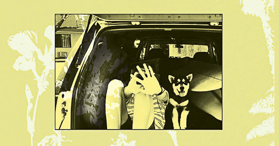 Throwing Muses: Moonlight Concessions