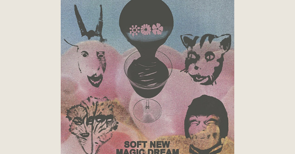 Black Moth Super Rainbow: Soft New Magic Dream