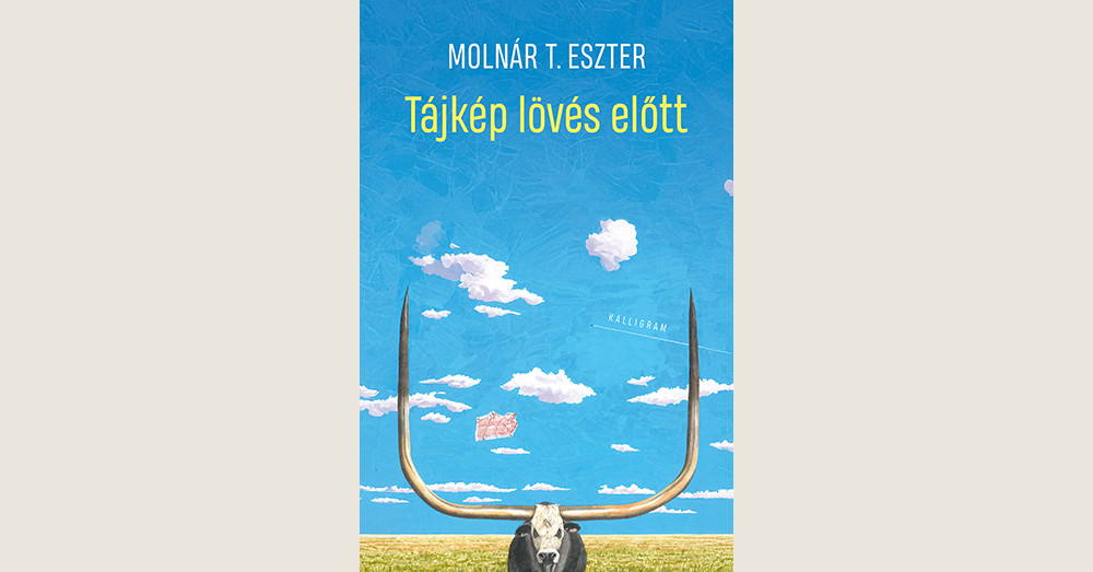 Molnár T. Eszter: Tájkép lövés előtt
