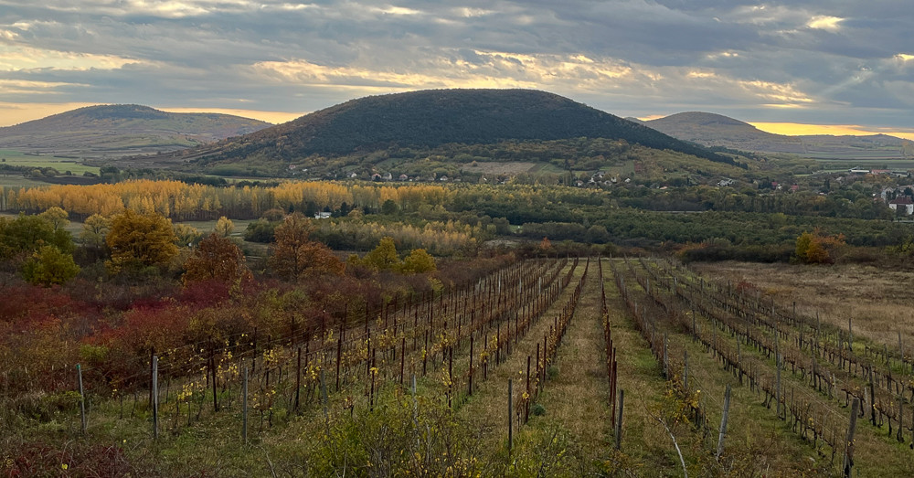 Elaludt a hatóság és a szakma