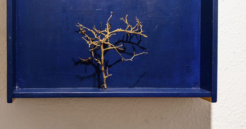 Levelet kaptam, life