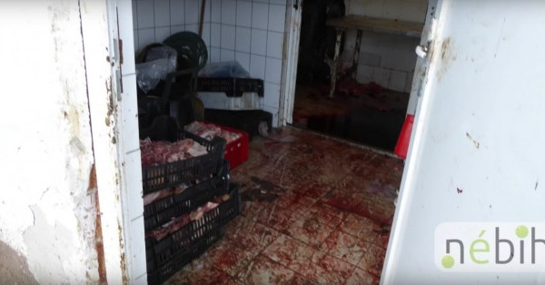 Kihez köthető a Pusztaföldvár határában talált állati eredetű hulladék?