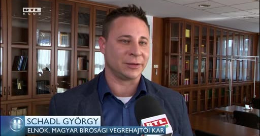 Letartóztatása óta 189 milliót keresett Schadl György