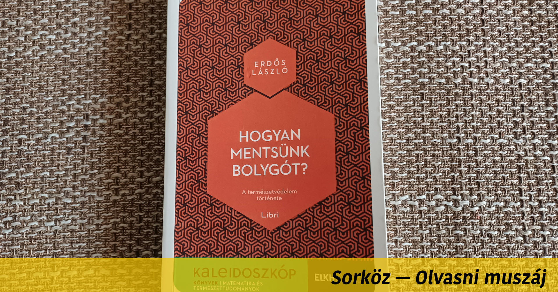 Tomboló viharban mászott fel egy fa tetejére
