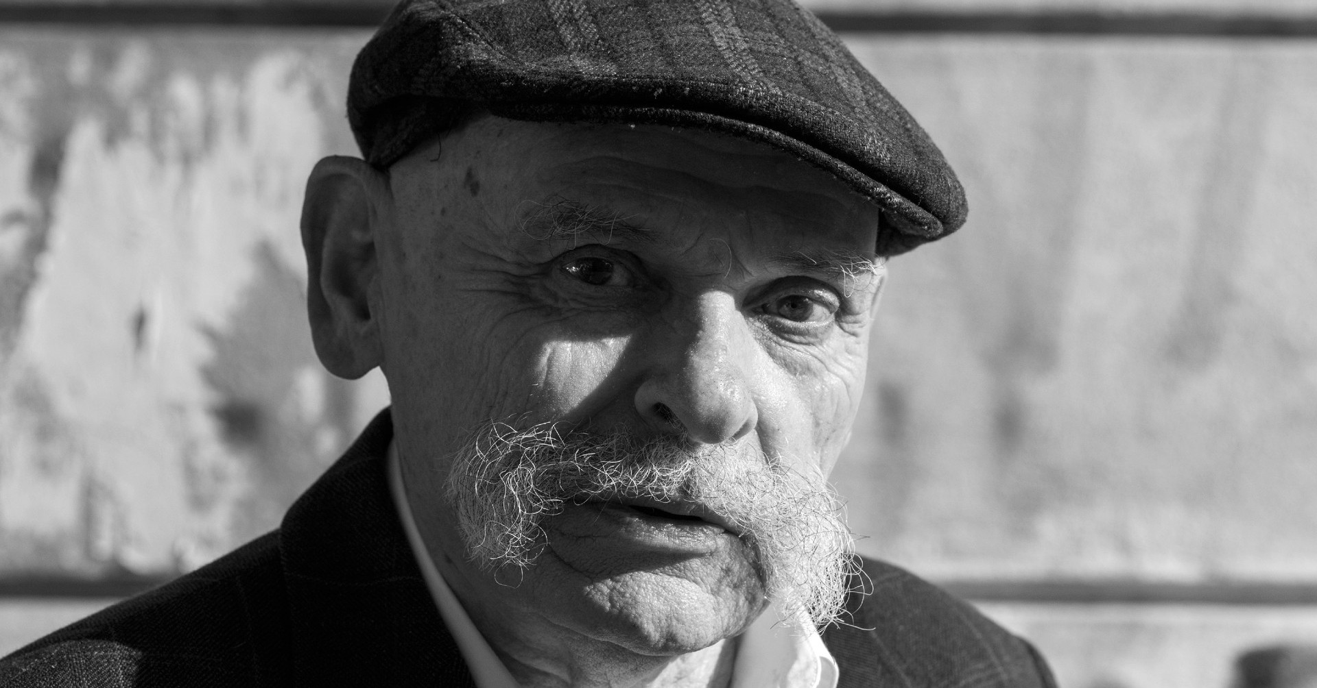 Meghalt Szilágyi István író