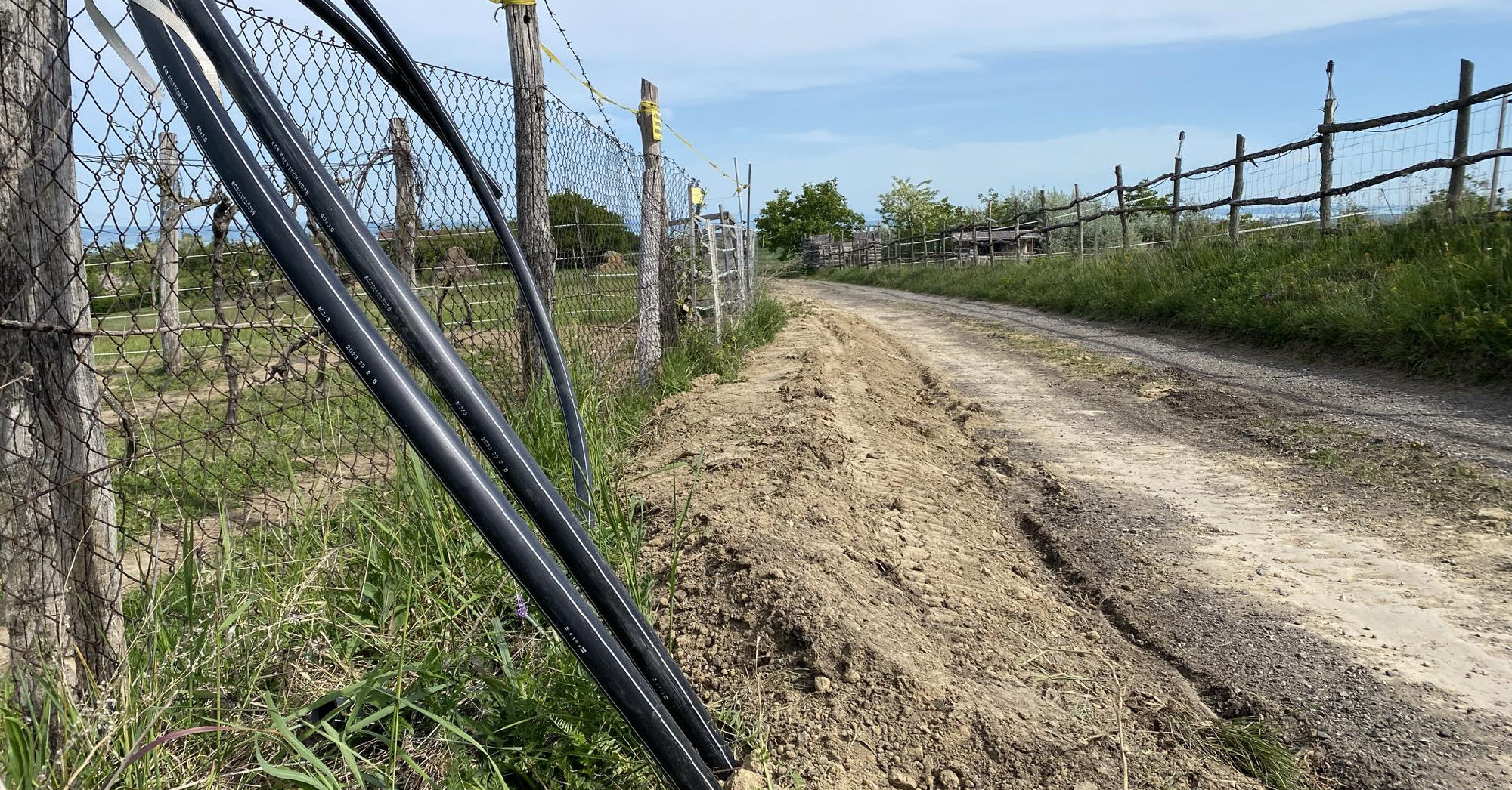 Szélessávú internet növényeknek Siófok-Törekiben