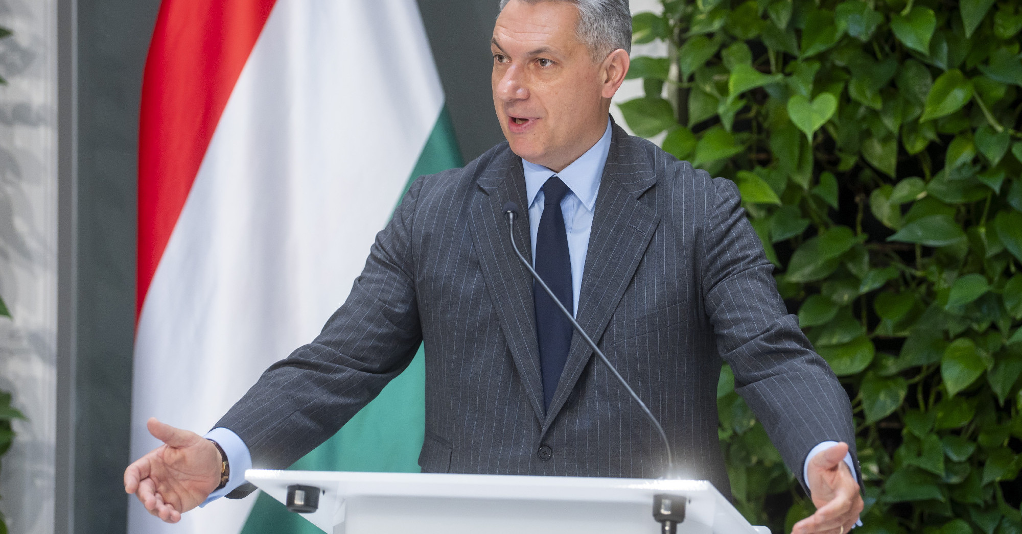 A NER csak addig tud jól működni, amíg senki nem tudja, ki mit csinál