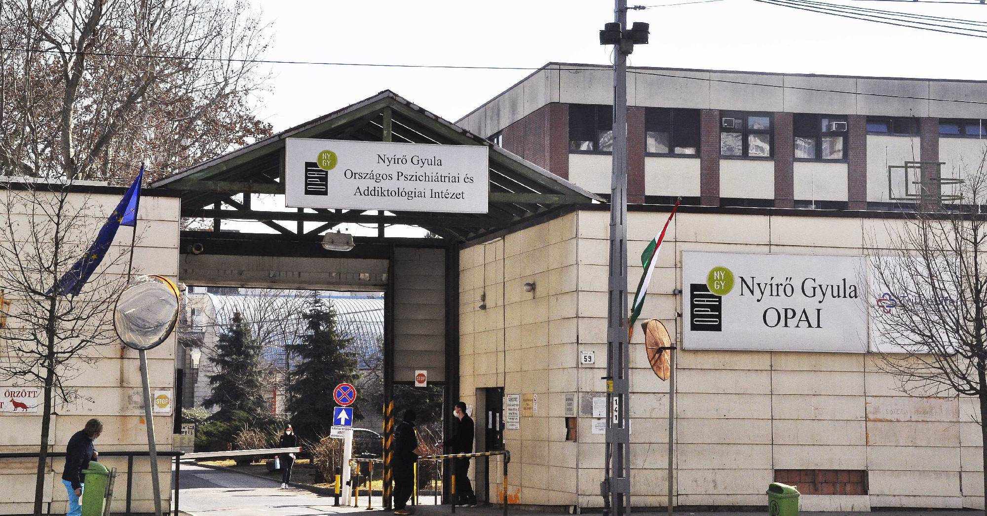 Mága Zoltán és a vízicirkusz társulata néz farkasszemet 580 pszichiáterrel